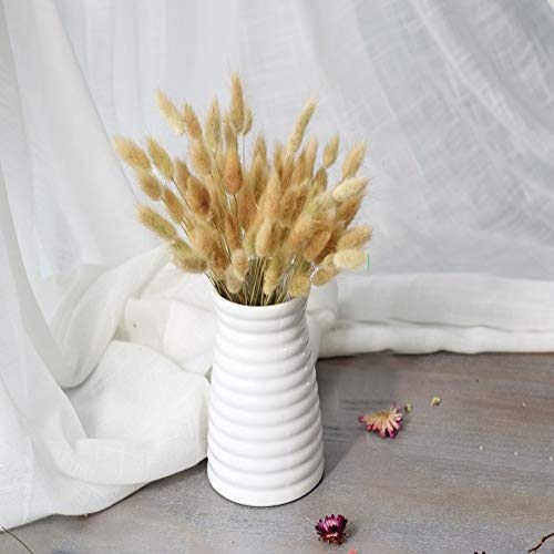 HUAESIN 100pcs Ramo Flores Secas Naturales Blancas Pampas Secas Decoracion Hierba de Manojo Pequeño Flor Blanca Artificial para Florero Jarrones Mesa Comedor Hogar Boda Fiesta Arreglos de Otoño 45cm