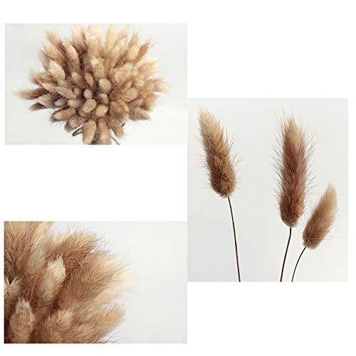 HUAESIN 100pcs Ramo Flores Secas Naturales Blancas Pampas Secas Decoracion Hierba de Manojo Pequeño Flor Blanca Artificial para Florero Jarrones Mesa Comedor Hogar Boda Fiesta Arreglos de Otoño 45cm