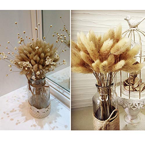 HUAESIN 100pcs Ramo Flores Secas Naturales Blancas Pampas Secas Decoracion Hierba de Manojo Pequeño Flor Blanca Artificial para Florero Jarrones Mesa Comedor Hogar Boda Fiesta Arreglos de Otoño 45cm