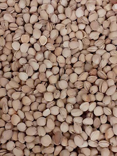 Huesos Cereza para sacos térmicos