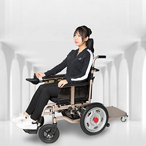 Hyl Sillas de Ruedas Silla de Ruedas eléctrica Plegable, Marco de aleación de Aluminio audaz,Motor de 500 W, Puede Viajar al Mismo Tiempo for Dos Personas (Size : 25A Lithium Battery)