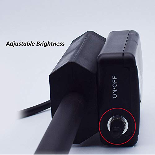 IJNUHB 3W Luz De Examen Médico Dental Lámpara Dental Oral LED Iluminación Auxiliar Quirúrgica para Ortopedia, Cirugía Quirúrgica