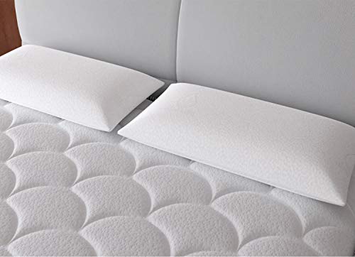 Imperial Relax | Almohada Viscoelastica Aloe Vera | Compacta | Doble Funda | Transpirable | Gramaje Superior | Desenfundable | Todas Las Medidas (75)