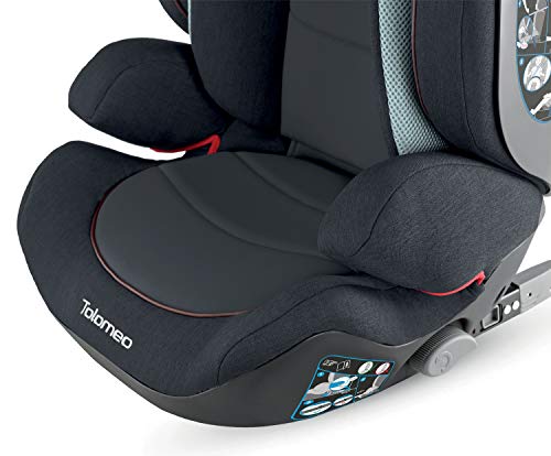 Inglesina AV97L0GRY - Silla de auto con respaldo integrado para niños de 3 a 12 años, color gris