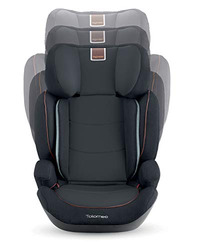 Inglesina AV97L0GRY - Silla de auto con respaldo integrado para niños de 3 a 12 años, color gris