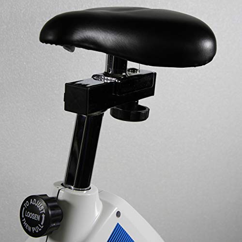 Ion Fitness FI100 Spin Bicycle - Bicicletas estáticas (Spin Bicycle, 120 kg, Sensores de Tacto en pasamanos, Vertical/Horizontal, 500 mm, 920 mm)
