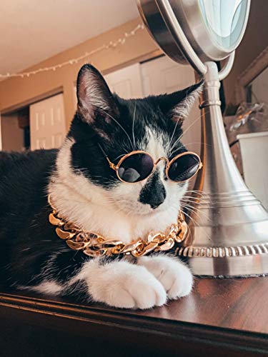 IOUH - Juego de 3 gafas de sol redondas y elegante collar de cadena dorada de plástico con diseño de gato, accesorios de moda para perro o cachorro