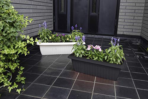 Iris Ohyama, Jardinera delgada con reserva de agua - Slim Planter Relief - 500, plástico, gris, mediano, 50 x 19 x 16,7 cm