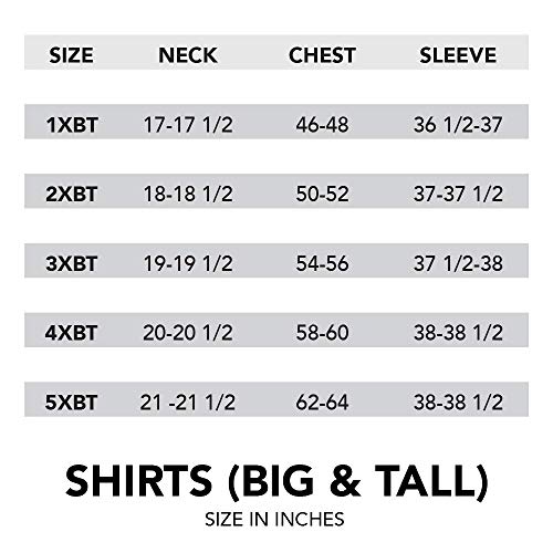 Izod Performance Natural Stretch Solid Long Sleeve Shirt (Big & Tall and Tall Slim) Camisa con Cuello Abotonado, Higo, XL Larga para Hombre