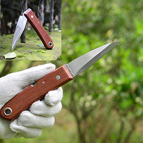 Jardín Injerto Kit Tijera de Injerto Profesional Tijeras de Podar con 3 Cuchillas Corte de Forma V/U/Ω para Injertos Planta Árboles Frutales Ramas Bonsai