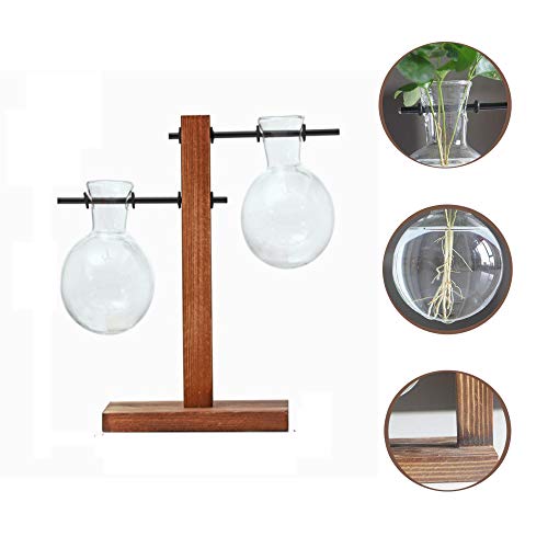 Jarrón de Vidrio Transparente Terrario de Plantas Colgantes con Soporte de Madera Maciza Retro para Jardinería Planta de Hidroponía Decoración de Casa 3 jarrones de Bombilla de Cristal