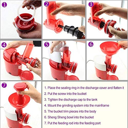 JDH Máquina para Hacer Helados de Frutas, Fabricante de postres congelados saludables pequeños y automáticos para el hogar, Adecuada para Batidos de Sorbete/aguanieve/Productos lácteos congelados