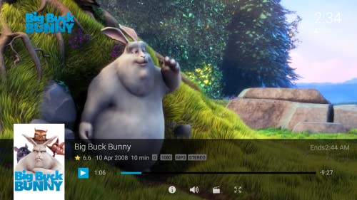 Jellyfin for Fire TV