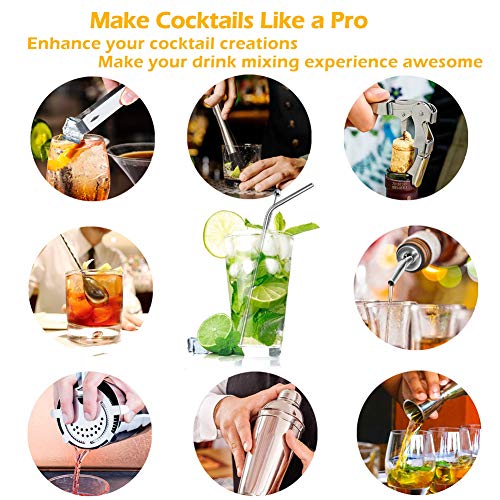 Juego para Cócteles–710 ml Martini Shaker con set de cócteles accesorios–15 Piezas de Herramientas Profesionales de Acero Inoxidable de Barra–Mejor Regalo para Principiantes en Casa y Barman Kits