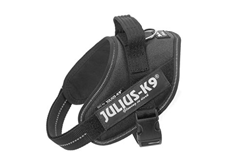 Julius-K9 16IDC - Power Harness