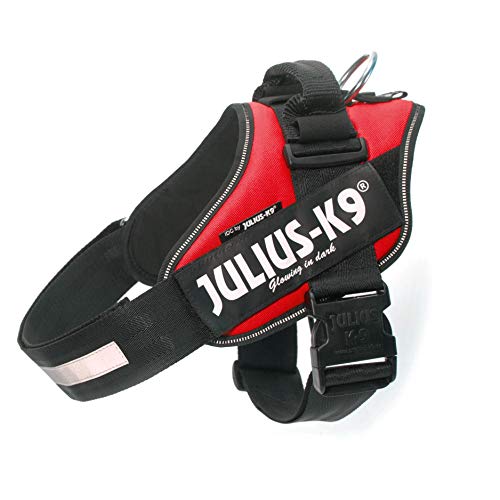 JULIUS-K9 Arnés Julius-K9 IDC, 1/L, 63–85 cm/50 mm, Rojo, Perro
