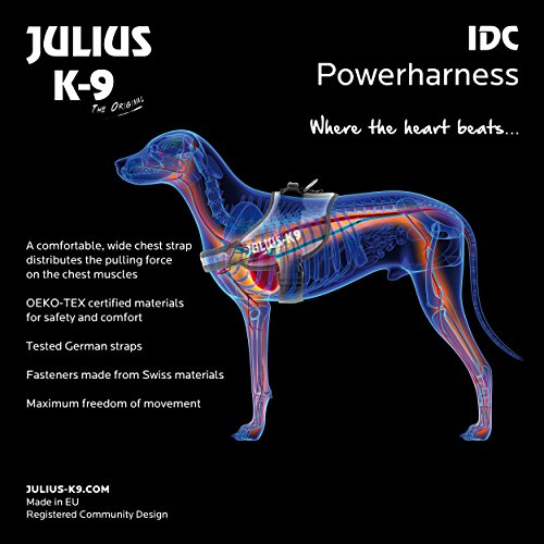 JULIUS-K9 Arnés Julius-K9 IDC, Baby 2/XS–S, 33–45 cm/18 mm, Rojo, Perro