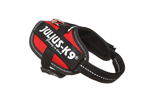 JULIUS-K9 Arnés Julius-K9 IDC, Baby 2/XS–S, 33–45 cm/18 mm, Rojo, Perro