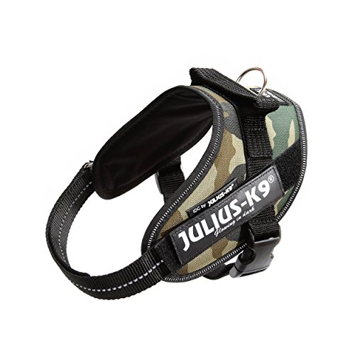 JULIUS-K9 Arnés Julius-K9 IDC, Mini/M, 49–67 cm/22 mm, Camuflaje, Perro