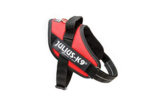 JULIUS-K9 Arnés Julius-K9 IDC, Mini/M, 49–67 cm/22 mm, Rojo, Perro