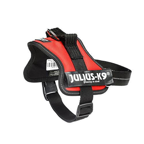 Julius-K9 Mini, 51-67 cm, Rojo