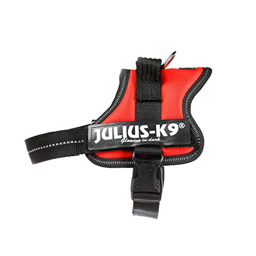 Julius-K9 Mini, 51-67 cm, Rojo