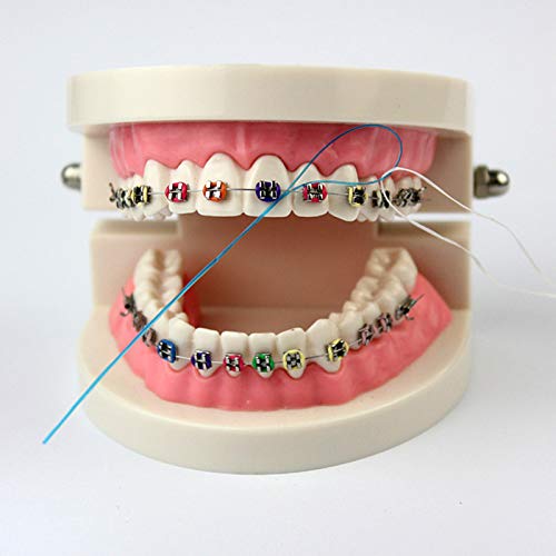 Juntful 3 paquetes de enhebrador de hilo dental, soporte de hilo dental entre puente ortodontico