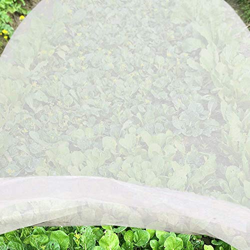 JYCRA Paño anticongelante para plantas, tela no tejida, reutilizable, manta flotante para plantas de jardín, vegetales, tela sin tejer, Blanco, 2 m x 10 m