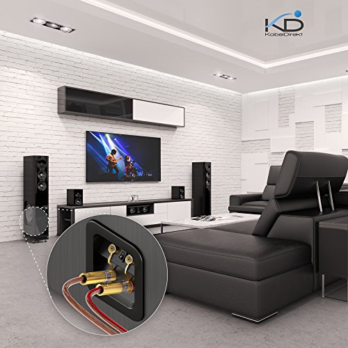 KabelDirekt PRO Series - Conectores banana conectores de 4 mm², 10 parejas, bañados en oro de 24 quilates, para forma flexible el cable a altavoces Hifi, amplificadores)