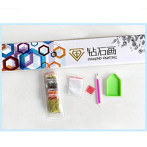 KaiWenLi Marinero de la Serie Luna/Cinco Patrones Hermosa niña de Menos luz de la Luna / 5D Animado Diamante Pintura/DIY Juego de Puzzle/Familia de la Pared Decoración de imágenes/Padre-Hijo I