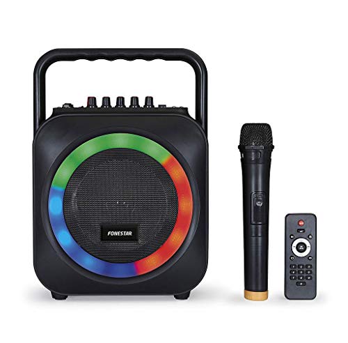 KARAOKE PORTATIL CON 2 MICROFONOS USB/SD/MP3 BOX-35LE CON 1 MICROFONO INALAMBRICO + MICROFONO DE MANO CON CABLE FDM-281 Gran Hermano Revolution.