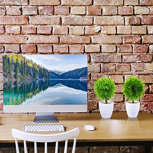 KATELUO Set de 3 Plantas Artificiales con Macetas, Plantas Artificiales Decorativas,Plantas Artificiales para Decoración Cocina/Oficina/Dormitorio/Balcón/Jardin