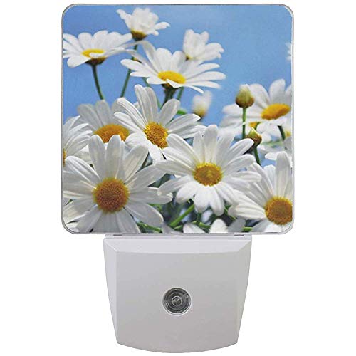 Katrine Store Night Light Flower Referencias en Pinterest Auto Senor Dusk to Dawn Lámpara de luz LED para Pasillo, Cocina, baño, Dormitorio, escaleras