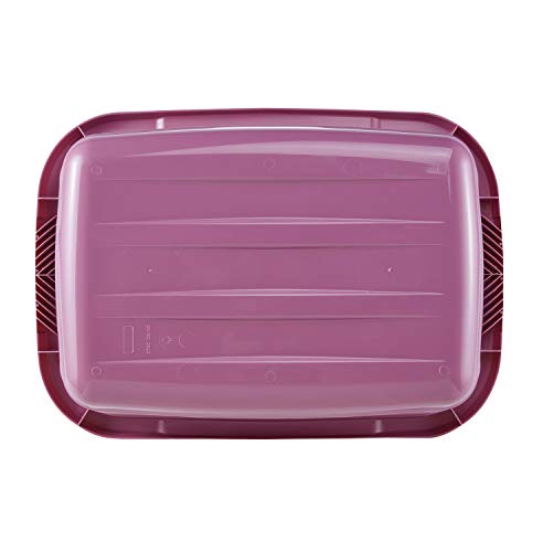 keeeper Jost Cesto para la Colada y bañera, Polipropileno, Frambuesa, 32 l