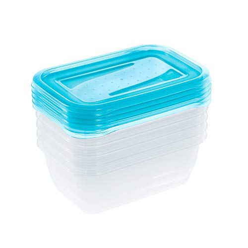 keeeper Set de 5 Fiambreras, 5 x 500 ml, 15,5 x 10,5 x 6 cm, Fredo Fresh, Azul transparente
