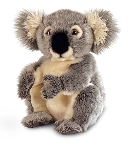 Keel - Peluche Koala, 28 cm (SW3658)