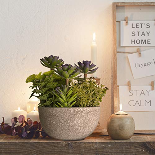 KELZIA Planta Artificial - 1 Maceta con Decoraciones de Plantas Falsas - Escritorio de Oficina, Mesa, Ventanas, Repisas, Chimenea, Estanteria - Regalo de Decoración para Ocasiones Especiales (Verde)