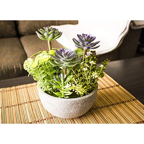 KELZIA Planta Artificial - 1 Maceta con Decoraciones de Plantas Falsas - Escritorio de Oficina, Mesa, Ventanas, Repisas, Chimenea, Estanteria - Regalo de Decoración para Ocasiones Especiales (Verde)