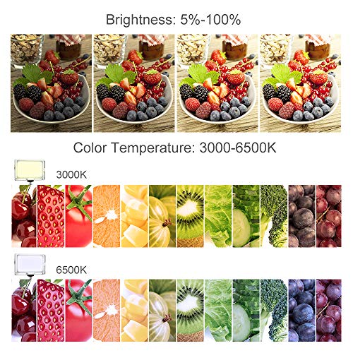 K&F Concept Panel Luz LED para Teléfono Móvil, Foco Luz Led con Batería 2800mAH/Temperatura del Color 3000K-6500K/CRI ≥96/Hot Shoe/Clip para Palo Selfie, Instagram Fotografia, Youtube Tiktok Video