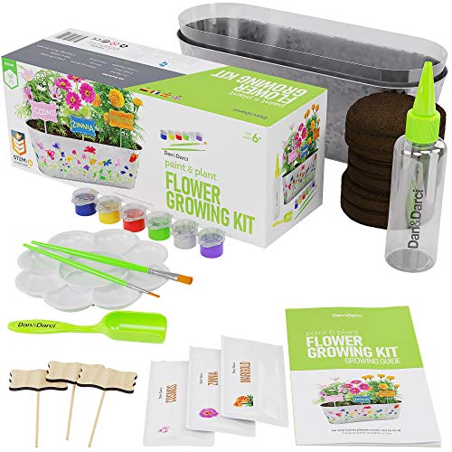 Kit de Cultivo de Flores Pinta y Planta - Cultiva Cosmos, Zinnia, Flores de Caléndula: Incluye Todo lo Necesario para Pintar y Plantar: un Gran Regalo para los niños - Stem