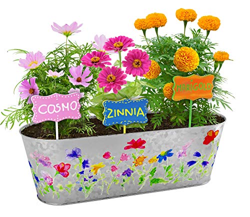 Kit de Cultivo de Flores Pinta y Planta - Cultiva Cosmos, Zinnia, Flores de Caléndula: Incluye Todo lo Necesario para Pintar y Plantar: un Gran Regalo para los niños - Stem