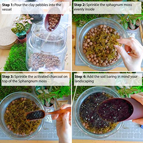 Kit de terrarium avec récipient en verre, Mini jardin, idée de cadeau, DIY Kit