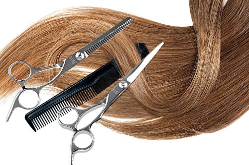 Kit de Tijeras Profesionales de la Peluquería, ELFINA Cortador de Pelo del Acero Inoxidable Tijeras de Bigote de 6 Pulgadas, para Cortar y Entresacar para Peluquero y Salón de Corte de Cabello