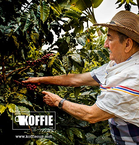 Koffie Cup-Colombia Cápsulas compostables de café compatibles con máquinas Nespresso, Colombia - 40 cápsulas (4x10cáps)