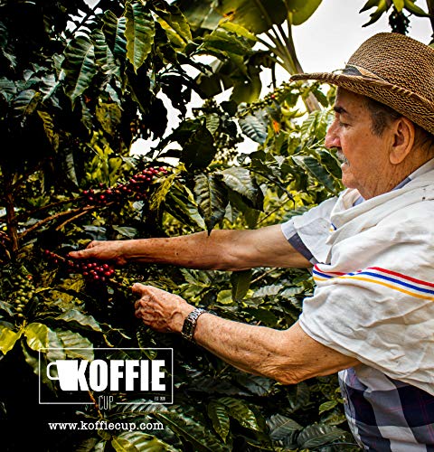 Koffie Cup-Colombia Cápsulas compostables de café compatibles con máquinas Nespresso, Colombia - 40 cápsulas (4x10cáps)