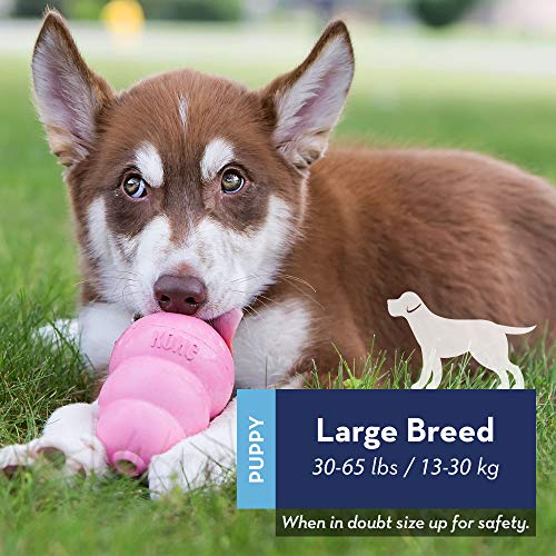 KONG - Puppy - Juguete de Caucho Natural para dentición (Colores Pueden Variar) - para Cachorros Grandes