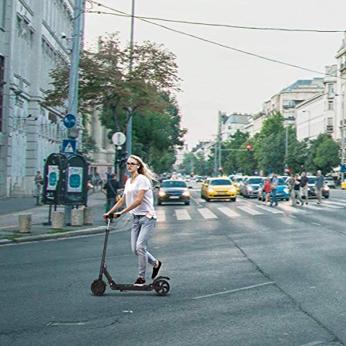 Kugoo Patinetes eléctricos Adulto, Potente Motor de 350 W, Pantalla LCD, neumáticos sólidos de 8.5", hasta 25 km/h, Scooter eléctrico Ultraligero Plegable para Adultos y Adolescentes (ES Garantía)