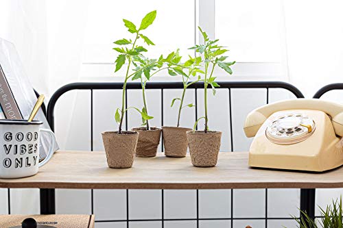 KULTIVERI Set de Cultivo de Lechugas y Tomates de 35 Piezas: Macetas y Semilleros de Germinación Biodegradables. CREA tu Propio Huerto en Casa.