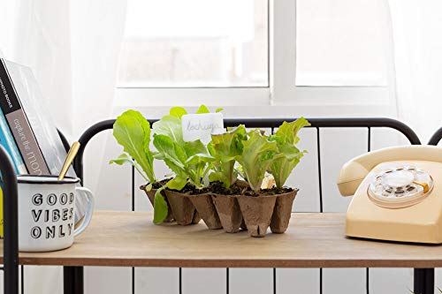 KULTIVERI Set de Cultivo de Lechugas y Tomates de 35 Piezas: Macetas y Semilleros de Germinación Biodegradables. CREA tu Propio Huerto en Casa.