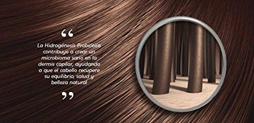 Kyara Lambert - Pack Keratina | Tratamiento nutritivo para cabellos lisos y anti-frizz | Shampoo y Mascarilla Recarga de Keratina 400ml 280ml | Post Tratamiento Queratina